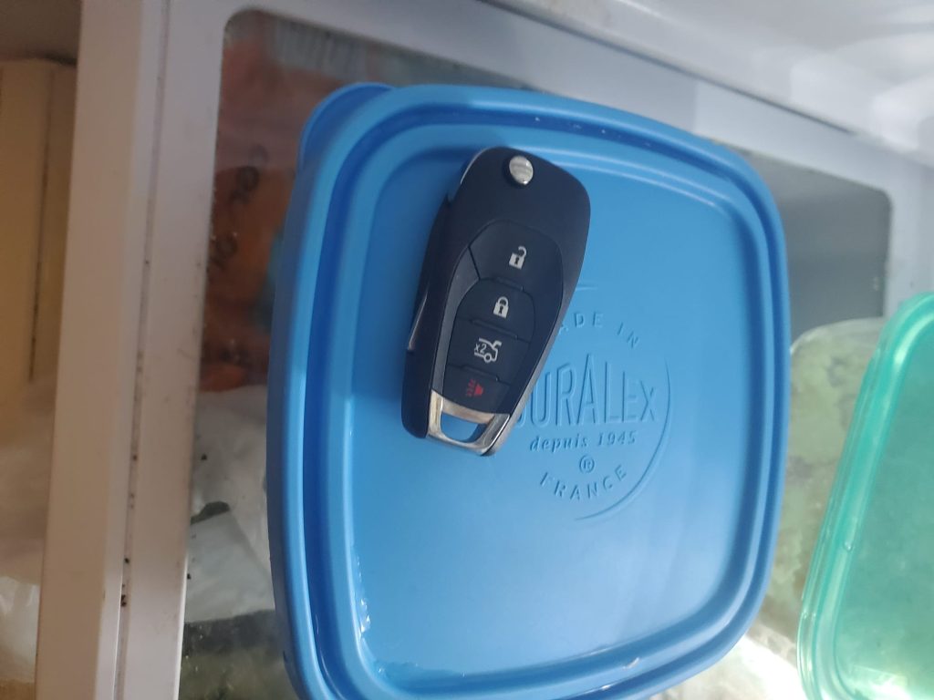 car keys forgotten in fridge